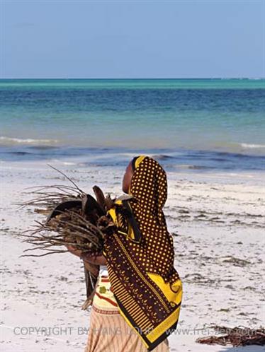 Beach walk, Zanzibar, DSC06863b